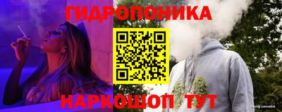 мдпв Камышлов