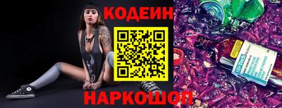 мдпв Камышлов